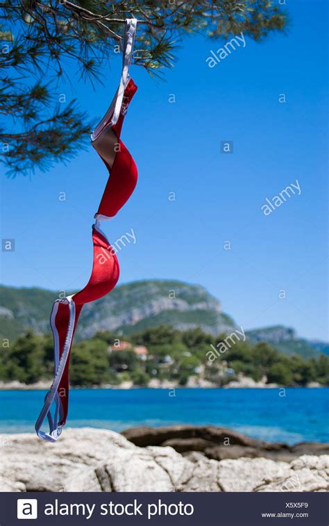 women at the nude beach|3,654 Naturism Stock Photos and High.